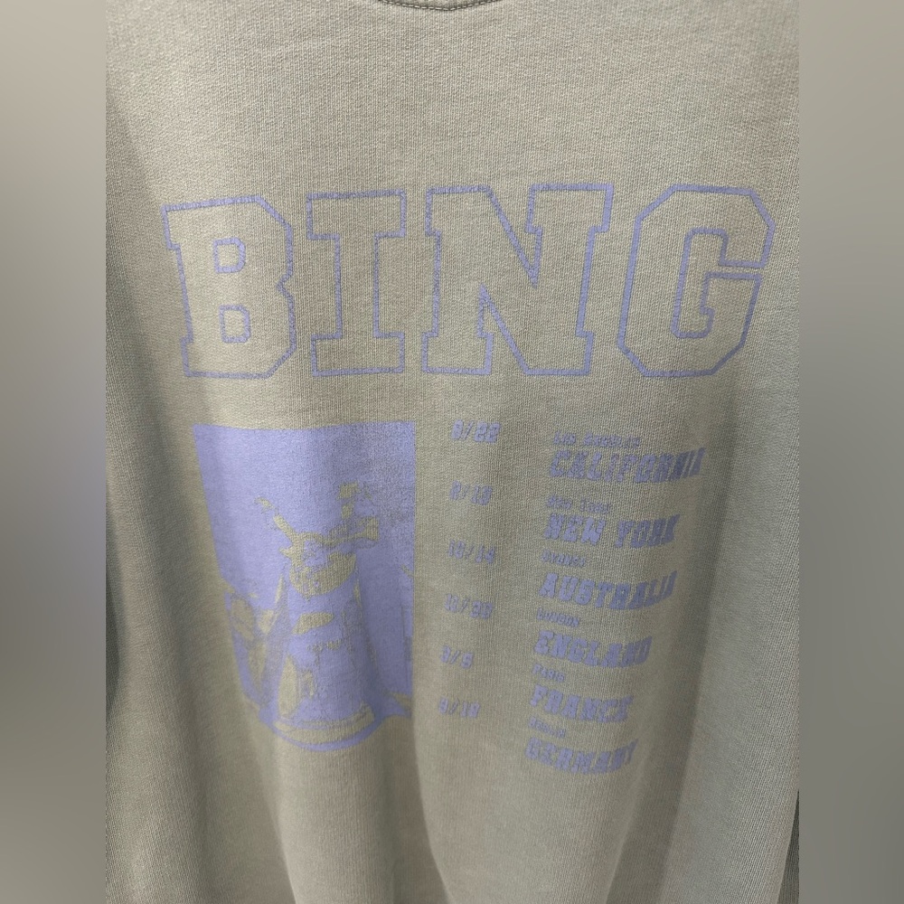 Anine Bing Green Graphic Sweatshirt - Picture 4 of 9